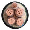 XLPE Insulated Medium Voltage Power Cable